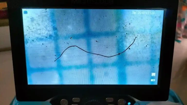 bentuk-mikroplastik-jenis-fiber1111