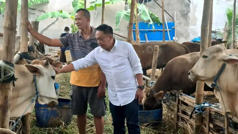 Sekretaris-Komisi-A-DPRD-Surabaya-Anas-Karno-saat-meninjau-lapak-hewan-kurban
