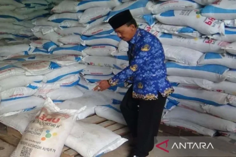 Pupuk-Bangkalan.jpg